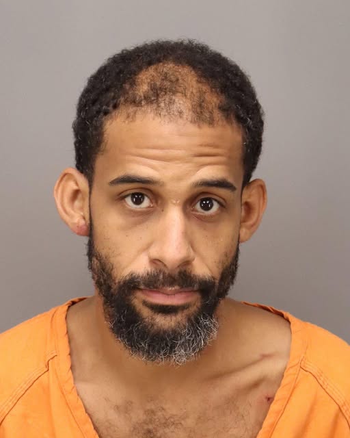 Deadly Shooting Rocks Lakeview at Palm Harbor: One Dead, Suspect Aaron Sawyer Charged with First Degree Murder